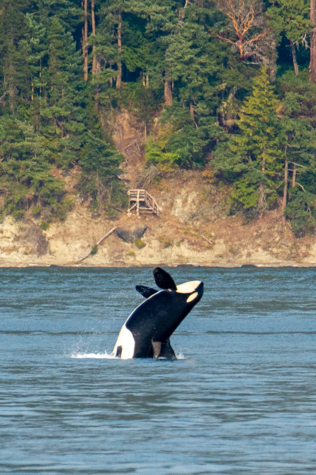 I admit it, I’m a&nbsp;papparazzi