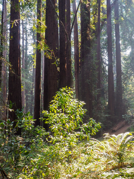 Postcard from the Central&nbsp;Coast