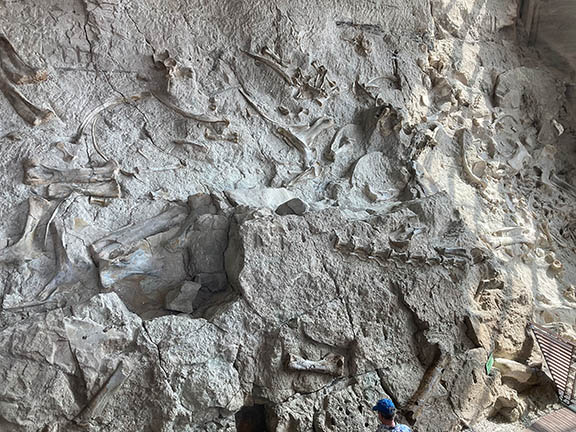 Dinosaur National Monument-One of Utah’s hidden&nbsp;treasures