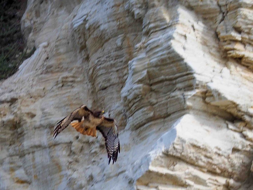 Postcards from Back bay in the Newport&nbsp;Harbor