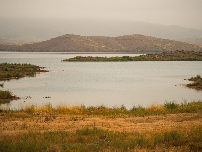 May Gray and Illusions                  of Other&nbsp;Places