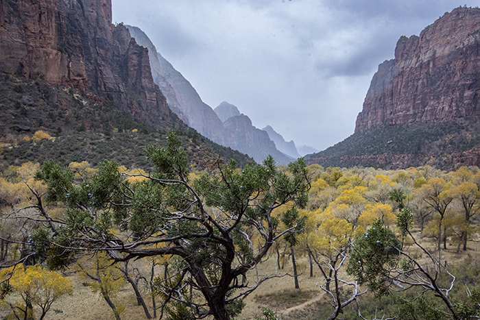 Fall Colors-continued
