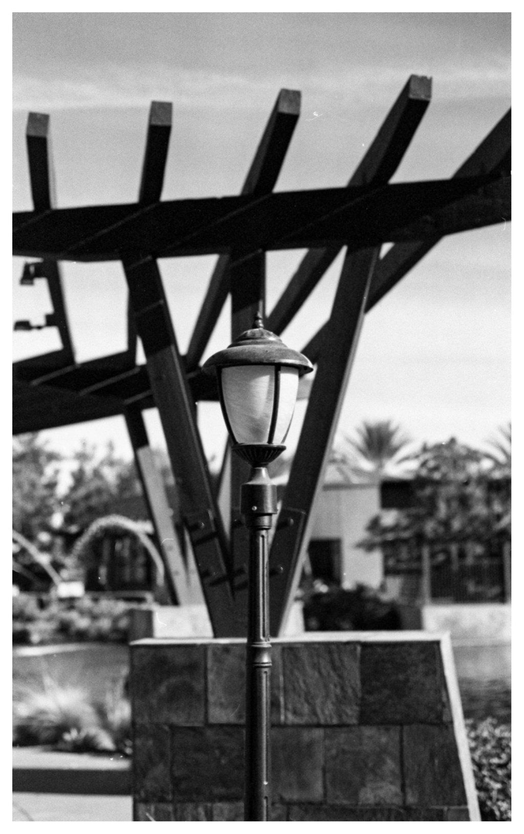 Black and White-shooting with&nbsp;intention