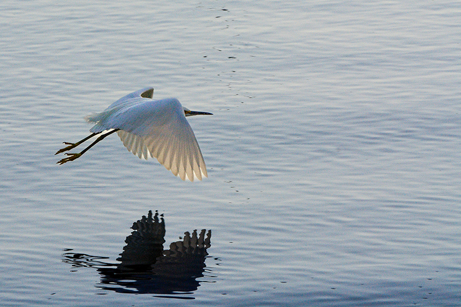 Going from Taking Snapshots to Making a&nbsp;Photograph