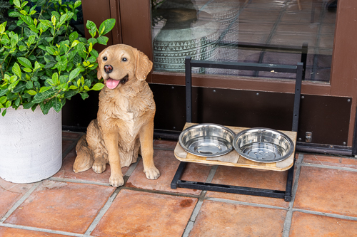 Town Tuesdays: La Quinta,&nbsp;California